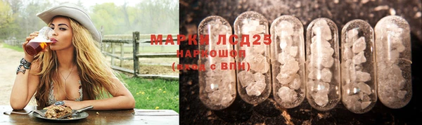 амф Кукмор