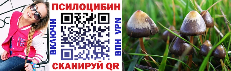 купить наркоту  Нижнекамск  Галлюциногенные грибы мицелий 
