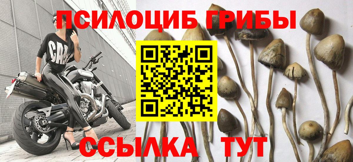 Метадон  Масло THC  COCAIN  Плюхи  Ешки  Нижнекамск  Бошки Шишки  ГАШИШ  Вход с VPN  Мяу-Мяу 