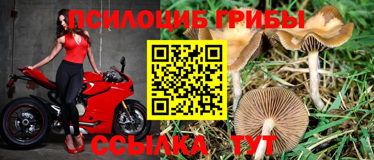 Галлюциногенные грибы ЛСД  где купить наркоту  Нижнекамск  Вход с VPN 