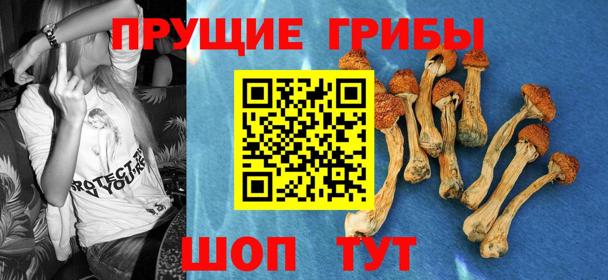 Галлюциногенные грибы прущие грибы Нижнекамск